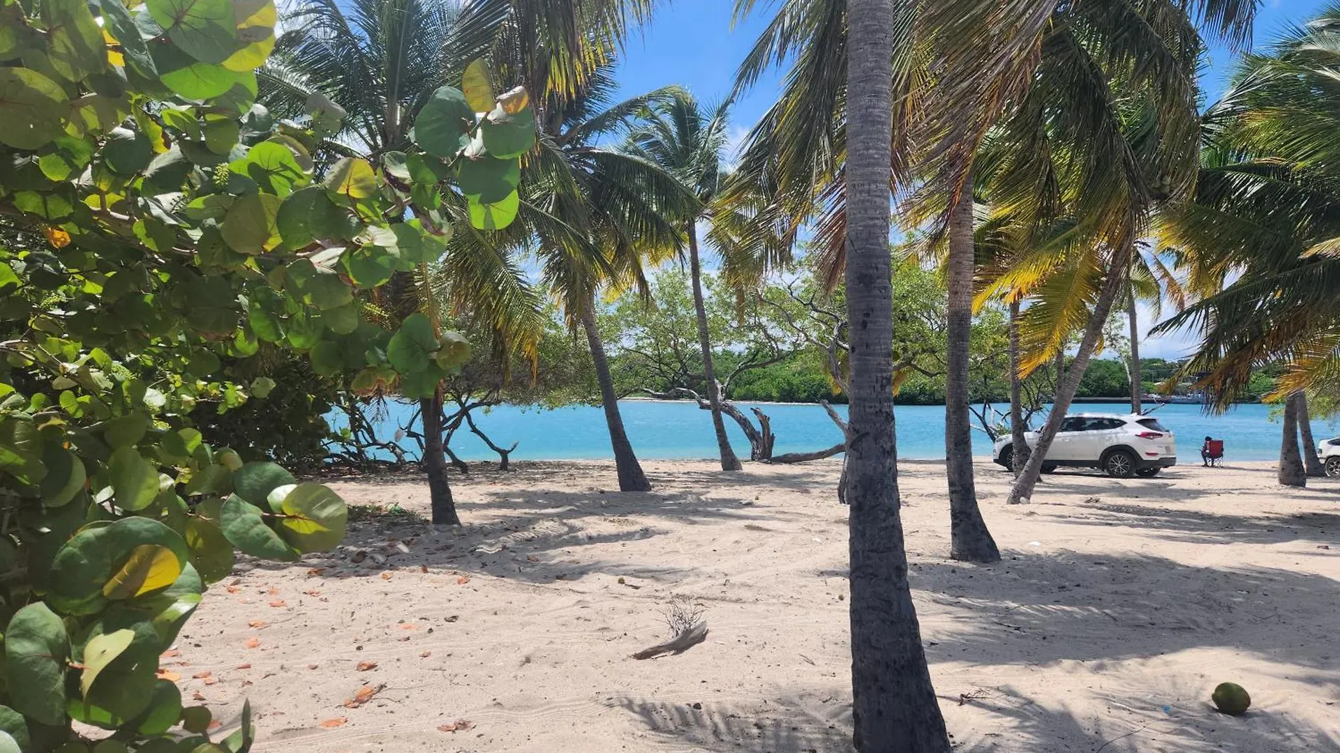 Penthouse Apartment With Bay And Mountain Views, Rooftop Bbq, Ac, Fast Wifi, Near Saladilla Beach, Barahona République dominicaine